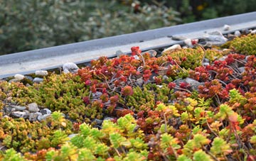 the cost of Upton Pyne green roof installation