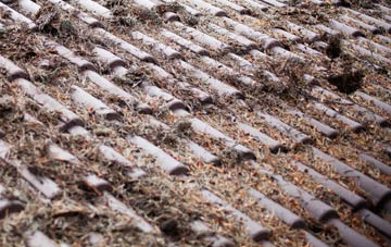 Upton Pyne roof cleaning companies